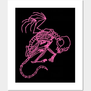 Pink cat skeleton Posters and Art